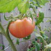 ヒメ日記 2025/07/02 21:16 投稿 志摩 セクシーキャット 神田店