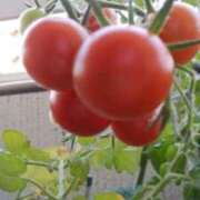 ヒメ日記 2025/07/03 15:40 投稿 志摩 セクシーキャット 神田店