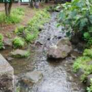 ヒメ日記 2025/07/05 15:31 投稿 志摩 セクシーキャット 神田店