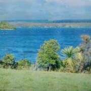 ヒメ日記 2025/07/17 18:53 投稿 志摩 セクシーキャット 神田店