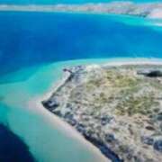 ヒメ日記 2025/07/24 15:44 投稿 志摩 セクシーキャット 神田店