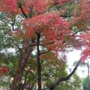 ヒメ日記 2025/09/25 19:07 投稿 志摩 セクシーキャット 神田店