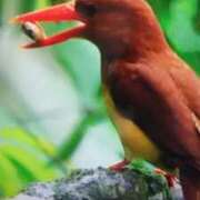 ヒメ日記 2025/09/27 21:25 投稿 志摩 セクシーキャット 神田店