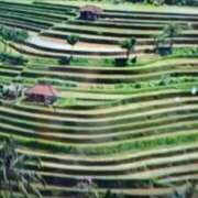 ヒメ日記 2025/10/07 15:31 投稿 志摩 セクシーキャット 神田店