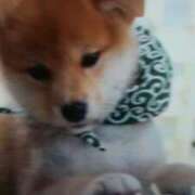 ヒメ日記 2025/10/08 18:16 投稿 志摩 セクシーキャット 神田店