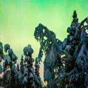 ヒメ日記 2025/10/14 18:09 投稿 志摩 セクシーキャット 神田店