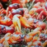 ヒメ日記 2025/10/23 17:18 投稿 志摩 セクシーキャット 神田店