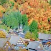 ヒメ日記 2025/10/28 15:41 投稿 志摩 セクシーキャット 神田店