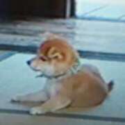 ヒメ日記 2025/10/28 17:19 投稿 志摩 セクシーキャット 神田店