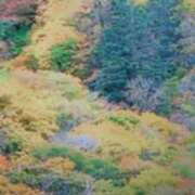 ヒメ日記 2025/11/25 15:32 投稿 志摩 セクシーキャット 神田店