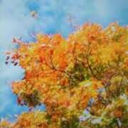 ヒメ日記 2025/11/26 15:37 投稿 志摩 セクシーキャット 神田店