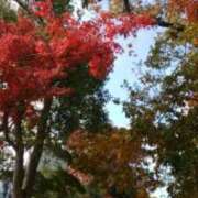 ヒメ日記 2025/12/06 15:31 投稿 志摩 セクシーキャット 神田店