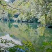 ヒメ日記 2025/12/09 19:30 投稿 志摩 セクシーキャット 神田店