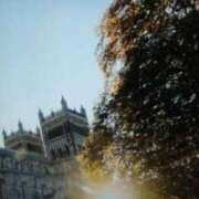 ヒメ日記 2025/12/12 15:25 投稿 志摩 セクシーキャット 神田店