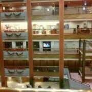 志摩 今出社しました セクシーキャット 神田店