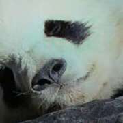 ヒメ日記 2025/12/17 18:20 投稿 志摩 セクシーキャット 神田店