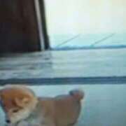 ヒメ日記 2025/12/19 15:41 投稿 志摩 セクシーキャット 神田店