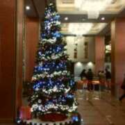 ヒメ日記 2025/12/23 15:34 投稿 志摩 セクシーキャット 神田店