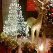 ヒメ日記 2025/12/24 14:05 投稿 志摩 セクシーキャット 神田店