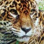 ヒメ日記 2026/01/13 21:04 投稿 志摩 セクシーキャット 神田店