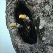 ヒメ日記 2026/01/20 15:32 投稿 志摩 セクシーキャット 神田店