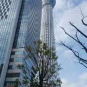 ヒメ日記 2026/01/22 18:43 投稿 志摩 セクシーキャット 神田店