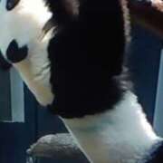 ヒメ日記 2026/01/28 15:40 投稿 志摩 セクシーキャット 神田店