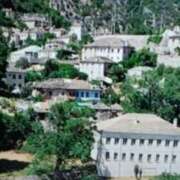 ヒメ日記 2026/01/29 15:34 投稿 志摩 セクシーキャット 神田店