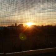 ヒメ日記 2026/02/03 15:50 投稿 志摩 セクシーキャット 神田店