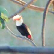 ヒメ日記 2026/02/03 21:05 投稿 志摩 セクシーキャット 神田店