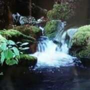 ヒメ日記 2026/02/14 21:19 投稿 志摩 セクシーキャット 神田店