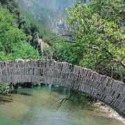 ヒメ日記 2026/02/19 21:21 投稿 志摩 セクシーキャット 神田店