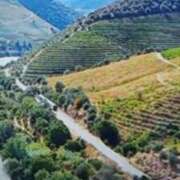 ヒメ日記 2026/03/24 17:32 投稿 志摩 セクシーキャット 神田店