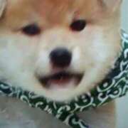 ヒメ日記 2026/03/26 15:47 投稿 志摩 セクシーキャット 神田店