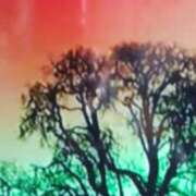 ヒメ日記 2026/03/26 18:36 投稿 志摩 セクシーキャット 神田店