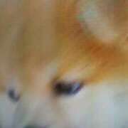 ヒメ日記 2026/03/27 15:44 投稿 志摩 セクシーキャット 神田店