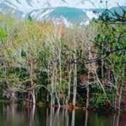 ヒメ日記 2026/03/31 21:07 投稿 志摩 セクシーキャット 神田店