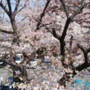 ヒメ日記 2026/04/04 19:48 投稿 志摩 セクシーキャット 神田店