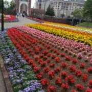 ヒメ日記 2026/04/08 18:51 投稿 志摩 セクシーキャット 神田店