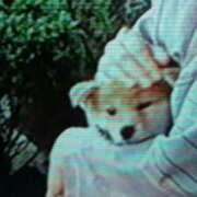 ヒメ日記 2026/04/09 21:03 投稿 志摩 セクシーキャット 神田店