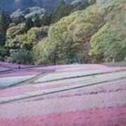 ヒメ日記 2026/04/14 15:35 投稿 志摩 セクシーキャット 神田店