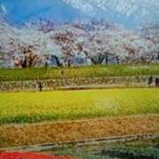 ヒメ日記 2026/04/14 18:05 投稿 志摩 セクシーキャット 神田店