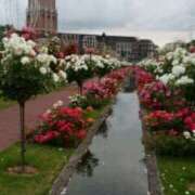 ヒメ日記 2026/04/21 18:49 投稿 志摩 セクシーキャット 神田店