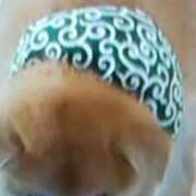ヒメ日記 2026/06/11 21:04 投稿 志摩 セクシーキャット 神田店