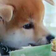 ヒメ日記 2026/06/12 15:25 投稿 志摩 セクシーキャット 神田店