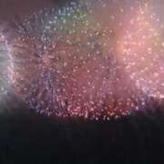ヒメ日記 2026/08/04 15:26 投稿 志摩 セクシーキャット 神田店
