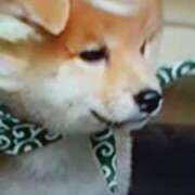ヒメ日記 2026/08/22 21:27 投稿 志摩 セクシーキャット 神田店
