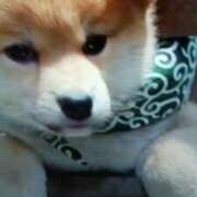 ヒメ日記 2026/10/07 18:58 投稿 志摩 セクシーキャット 神田店