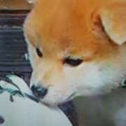 ヒメ日記 2026/10/22 15:26 投稿 志摩 セクシーキャット 神田店