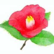 ヒメ日記 2024/12/12 15:58 投稿 まりあ セクシーキャット 神田店